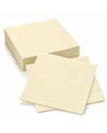 Servet 40x40 cm 2-laags room 2000 stuks