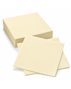 Servet 40x40 cm 2-laags room 2000 stuks